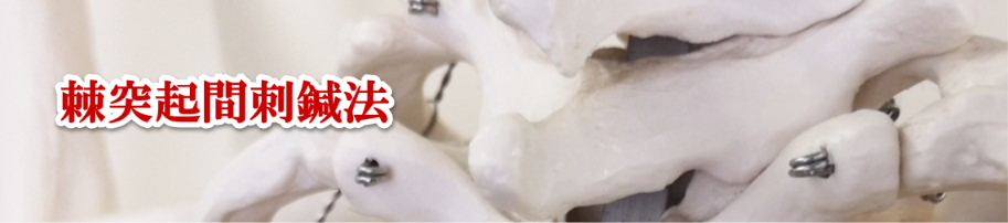 雨宮はりきゅう整骨院｜背骨の真ん中、脊柱棘突起間の鍼灸治療